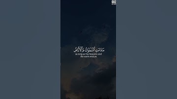  فَأَمَّا الَّذِينَ شَقُوا فَفِي النَّارِ | محمد صديق المنشاوي  | سورةهود #قران_كريم