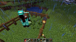 Minecraft and the Diamond Armour Horse (No Commentary)