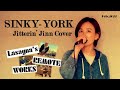 SINKY-YORK(Jitterin’ Jinn ジッタリンジン Cover)【Remote Recording/リモートレコーディング#26】