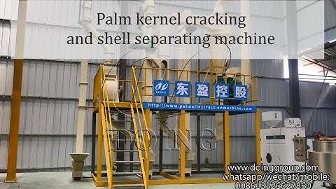 Palm kernel cracker and shell separator machine working process 3D video demonstration