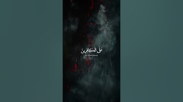 تلاوة من سورة الزمر   | القارئ شريف مصطفى  |