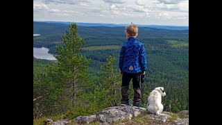 многообразие реального мира в сенсорных восприятиях реальности