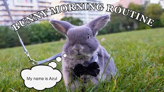 IN DEPTH BUNNY MORNING ROUTINE | litter training, bunny diet & more!