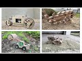 Beyond Imagination - Jaw Dropping Cardboard Tractor Transformations