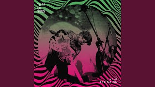 The Dream (Live)