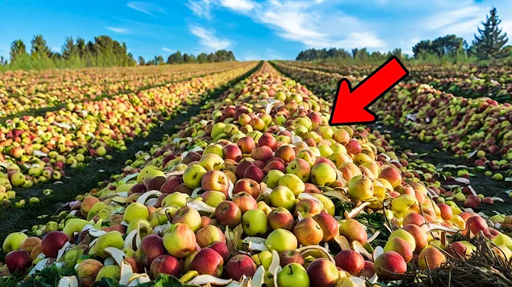 Scientists Dumped 25,000 Tons Of Apples Into A Field - 20 Years Later, The Unimaginable Happened!