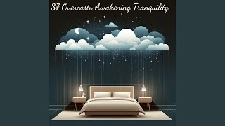 Tranquil Rain