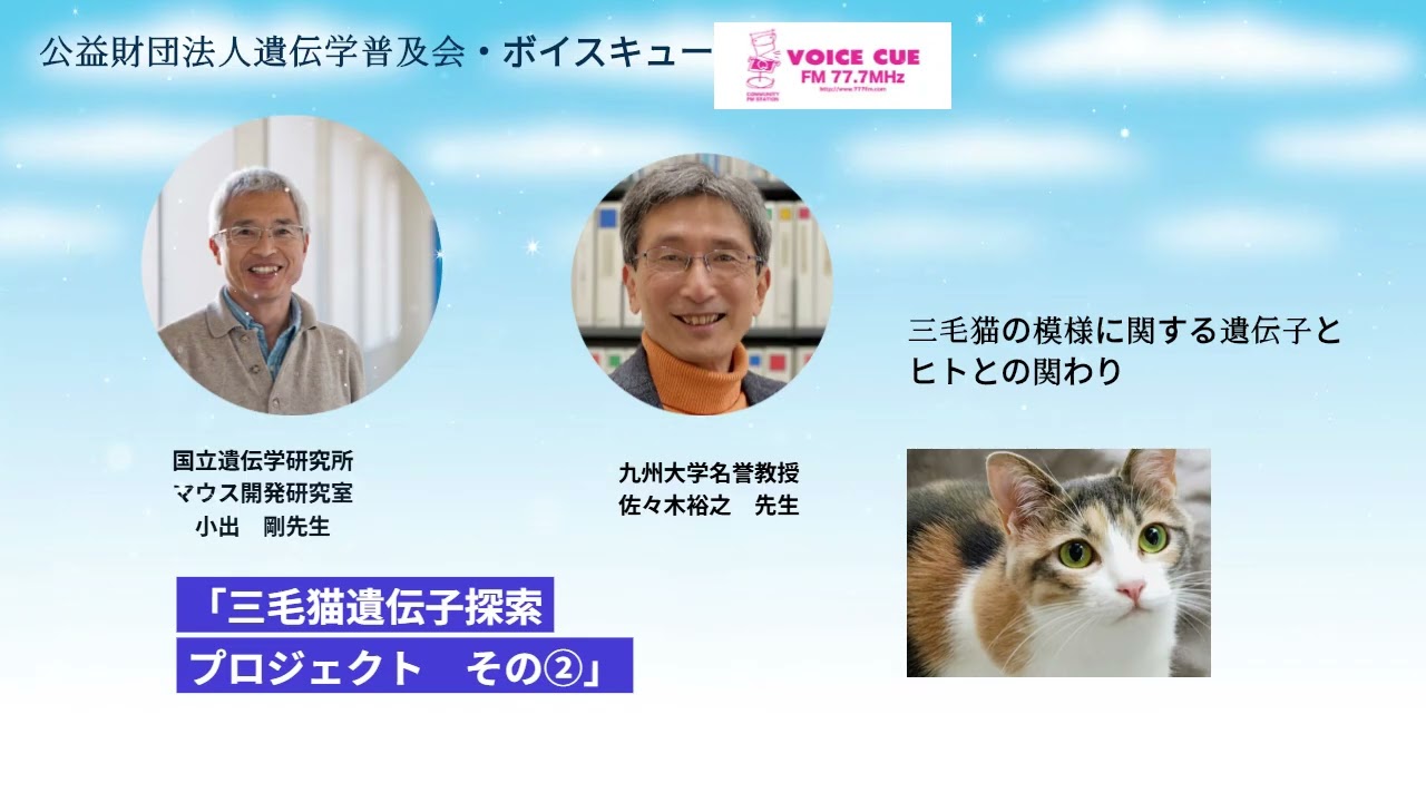 きゅんです！サイエンス｜三毛猫遺伝子探索プロジェクト② 　国立遺伝学研究所・小出剛先生 × 佐々木裕之先生