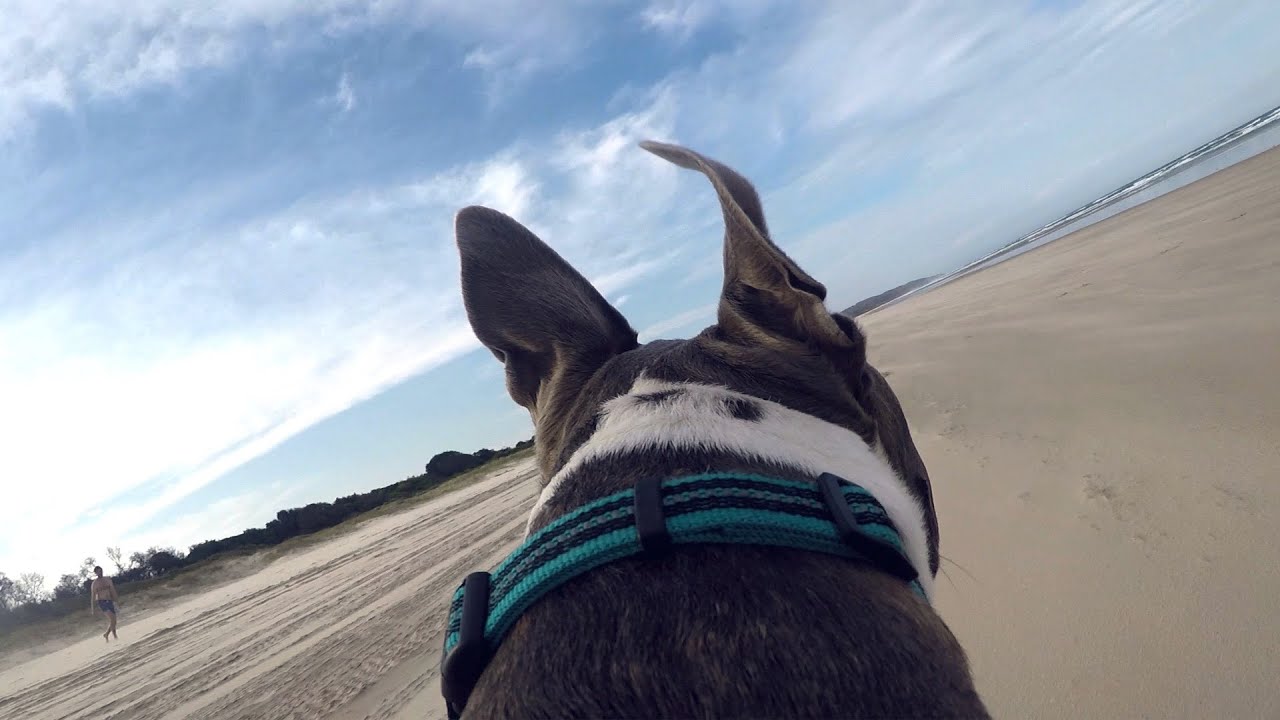 WHARVES // Think Straight (Official Video)