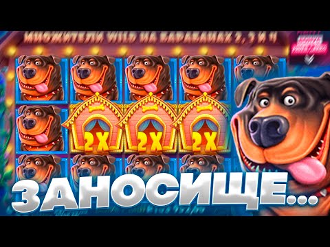 Видео: ОЧЕРЕДНОЙ ЗАНОС В THE DOG HOUSE ПО БОЛЬШОЙ СТАВКЕ !!! АЖ 5 БОНУСОК !!! ЗАНОСЫ НЕДЕЛИ !!!