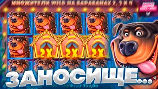 ОЧЕРЕДНОЙ ЗАНОС В THE DOG HOUSE ПО БОЛЬШОЙ СТАВКЕ !!! АЖ 5 БОНУСОК !!! ЗАНОСЫ НЕДЕЛИ !!!