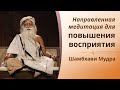 Направленная медитация для улучшения восприятия: Шамбхави Мудра