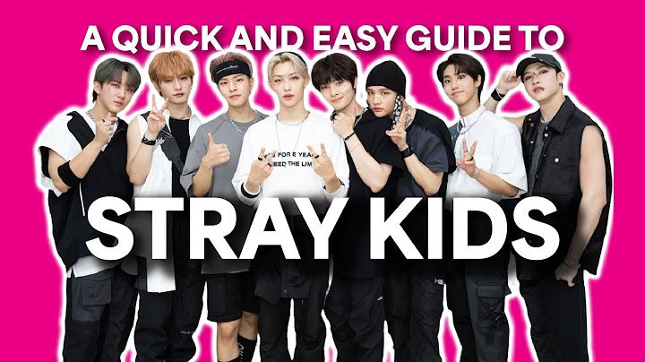 A QUICK AND EASY GUIDE TO STRAY KIDS