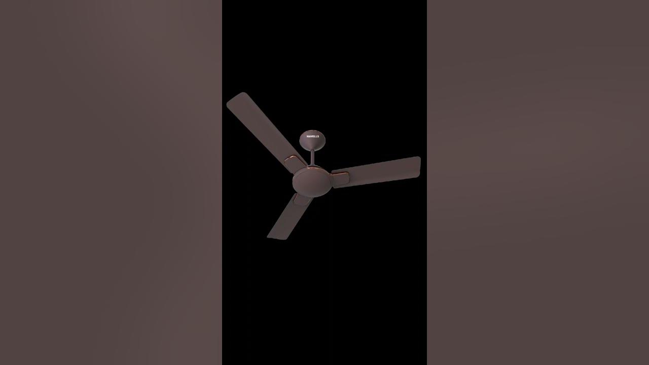 havells designer ceiling fans #havellsfan#havells#designerfans #ceilingfan#ytshorts #shorts#youtube