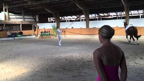 Michelle Wilke Pflicht Turnier Hven 2015