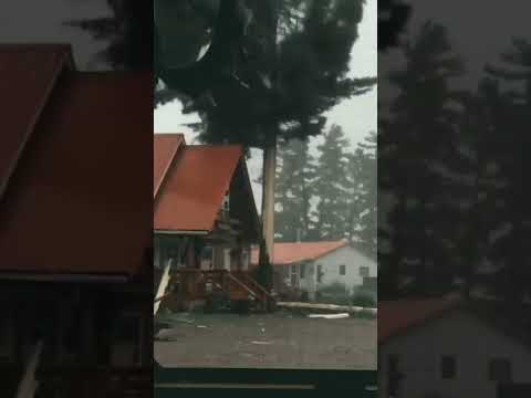 رعد و برق میزنه به درخت