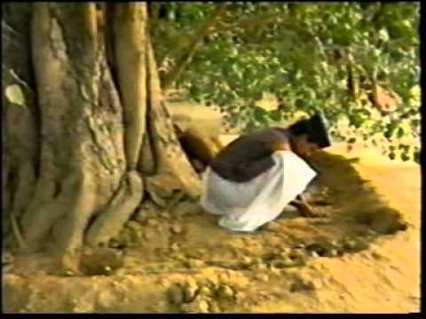 Pandit ji and jajmaan  Doovi