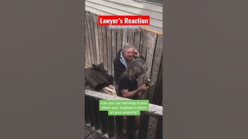 Man uses sledgehammer to take down his neighbor’s fence. Who’s liable? Attorney Ugo Lord reacts!￼