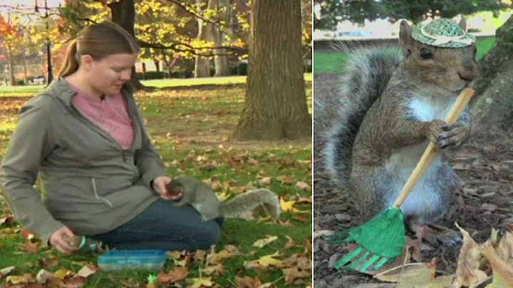 Student becomes famous for squirrel photography