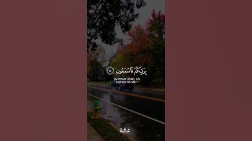 إني آمنت بربكم فاسمعون || سورة يس