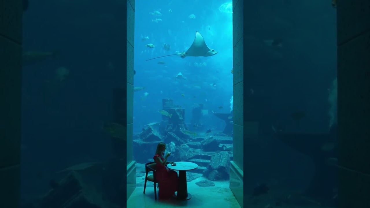 Unveil Luxury Atlantis The Palm, Dubai  Jugni Travel's GBP 440 Night Escape Extravaganza! 🌴✨ 