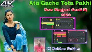 Ata Gache Tota Pakhi // New Nagpuri Song // Dj Subhas PaHan 2023 2024