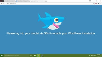 How To Install Wordpress On Your VPS With One Click Install