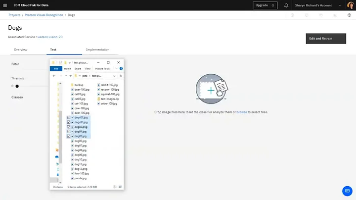Train and test a visual recognition model
