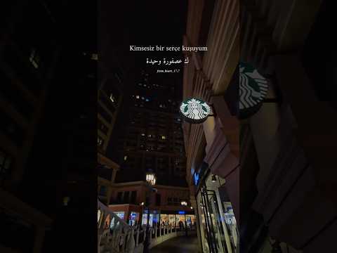 Beni Unutma اغنية تركية مترجمة من مسلسل اسميتها فريحة Shortvideo Song Short