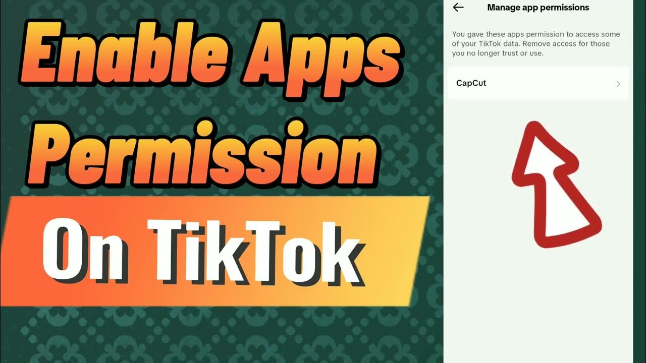 how-to-enable-app-permission-on-tik-tok-2024-youtube