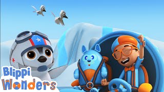 NEW! Can Penguins FLY?! | Blippi Wonders | Educational Cartoons for Kids