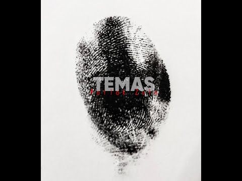 Temas feat.  Nameek Walker    PATLAK ZULA Official Audio
