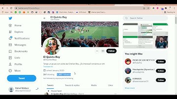 Twitter Scraping Bot