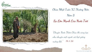 Chúa Nhật Tuần XI Thường Niên Năm B