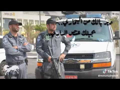 دير بالك من اليماري 