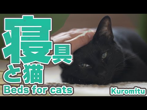 猫と寝具選び
