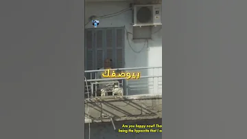 هل دي كات حياتك اعمق مما كنت فاكر Rap راب سين راب اكسبلور ابيوسف Abyusif 