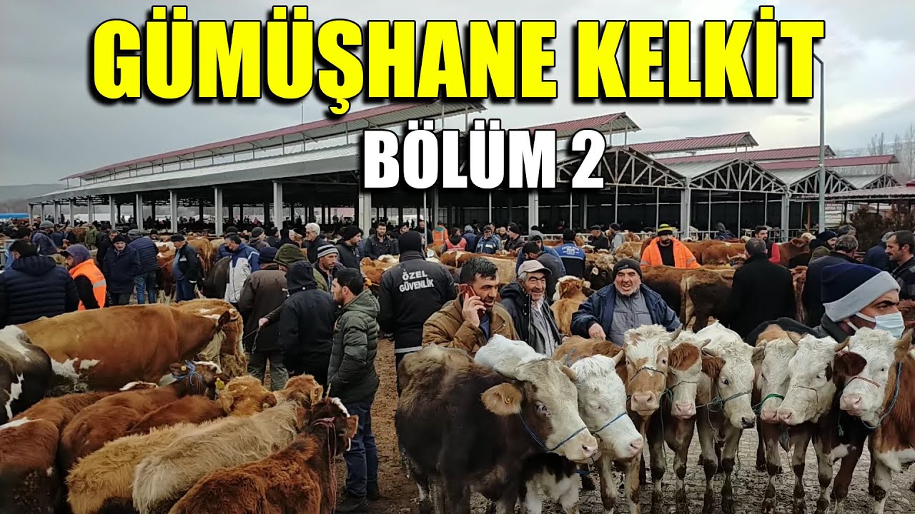 SON ZAMANLARIN EN UYGUNLARINDAN | GÜMÜŞHANE KELKİT HAYVAN PAZARI | BÖLÜM 2