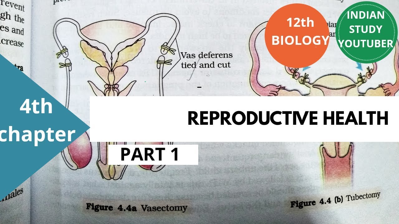 Ncert Class 12th Biology Chapter 4th Reproductive Health Part 1