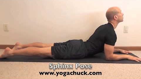 Sphinx Pose, Salamba Bhujangasana