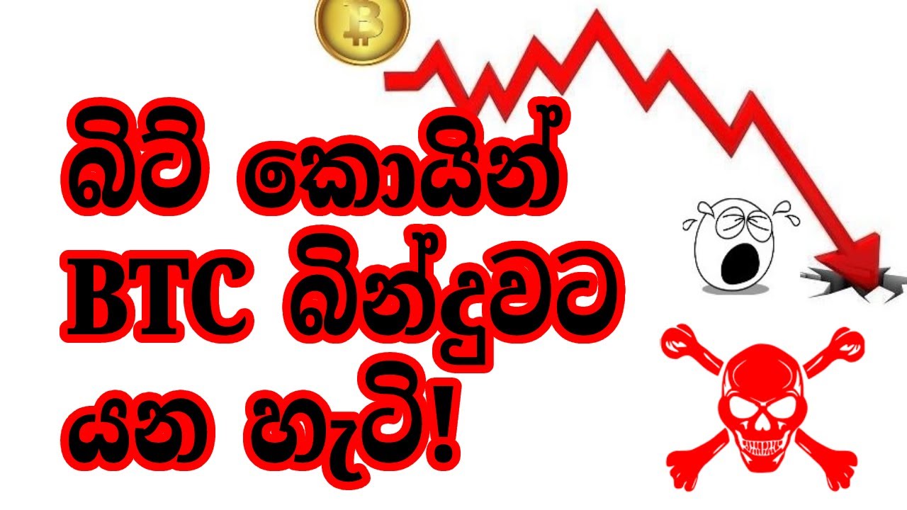 will bitcoin will go to zero cryptocurrency crash? YouTube