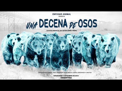 UNA DECENA DE OSOS | Documental Completo subtitulado. Traslado de 10 osos del ex Zoo de Mendoza