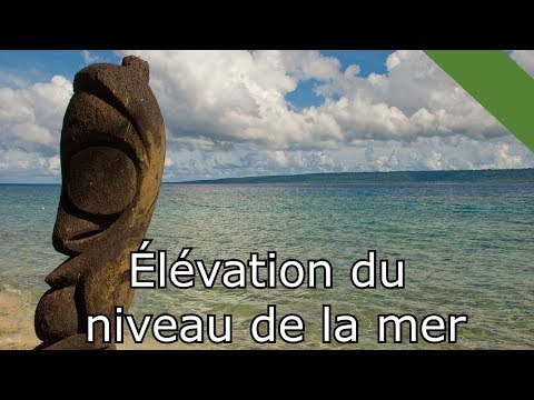 Vidéo: Comment Déterminer Le Niveau De La Mer