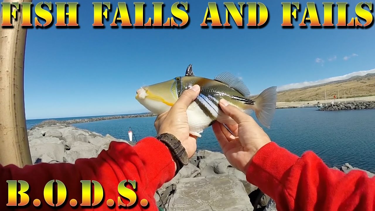 Falls, Fails, and FISH Fishing Hawaii, Kawaihae Episode 13 YouTube