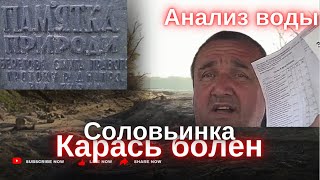 1АПРЕЛЯ Соловьинка пустая. Анализ воды в СЭС. Мертвый карась. Запорожье 2024г.