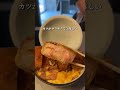 千葉に新しくできた取り調べかつ丼