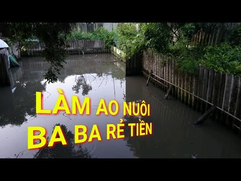 Hướng dẫn làm ao nuôi ba ba rẻ tiền hiệu quả