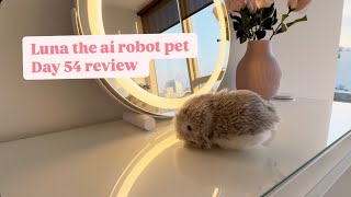 #moflin #ai #petrobot #hamster #cuteanimal #myrobotpet #toys #aipets #love #cuterobot #airobot #fyp