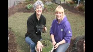 petting_plants.avi