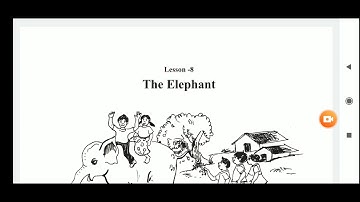 THE ELEPHANT lesson 8 class 6 ENGLISH M.P board